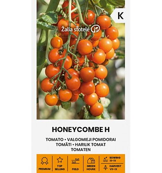 Honeycombe H