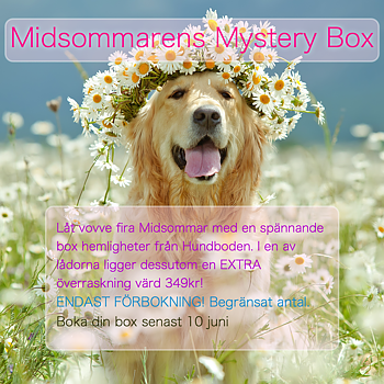 Midsommarens Mystery Box