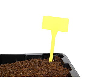 Plantskylt gul 10-pack