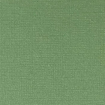 R Cardstock -Pearl Green