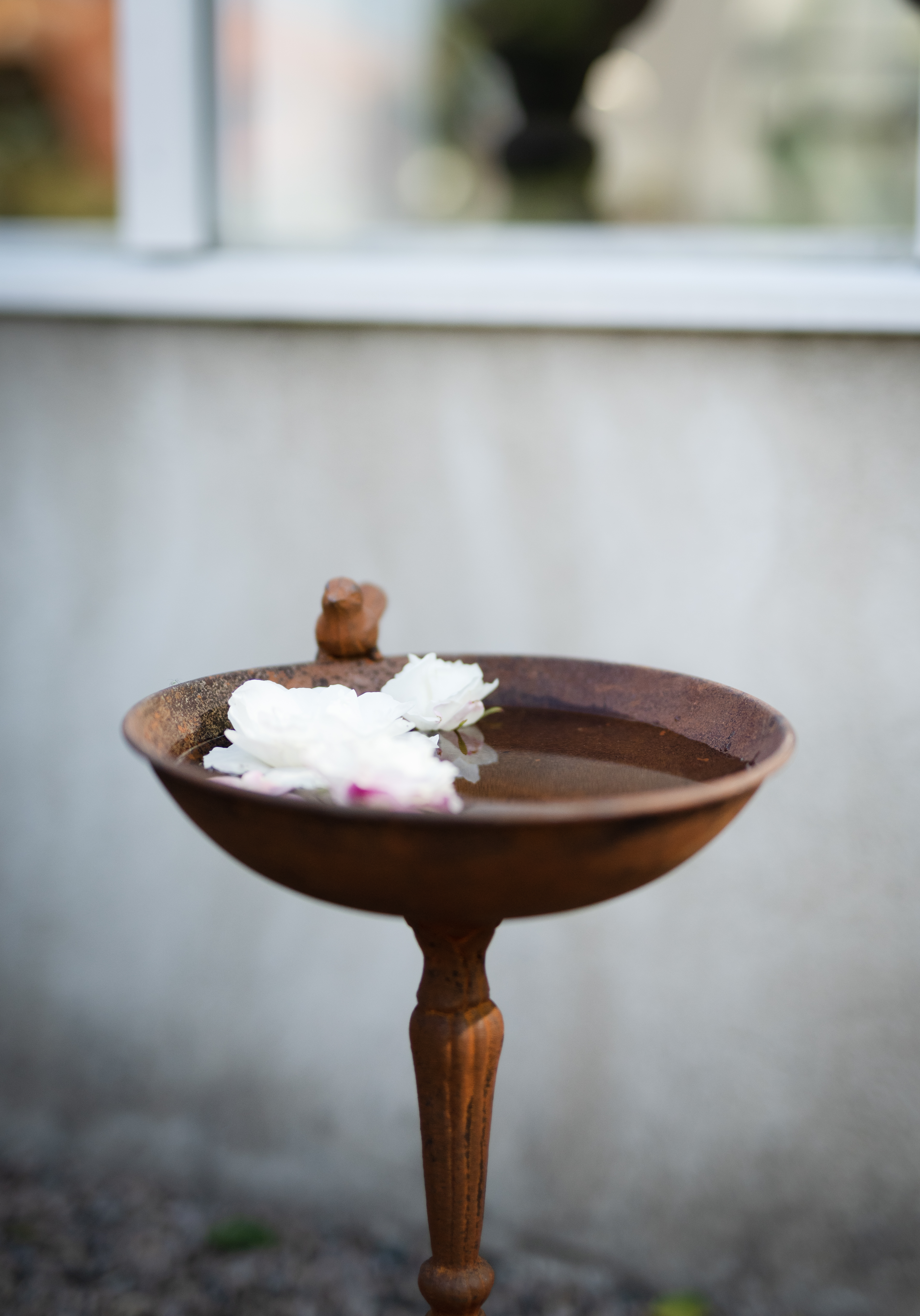 Bird bath on stand - Rust - 23x49 cm - 2