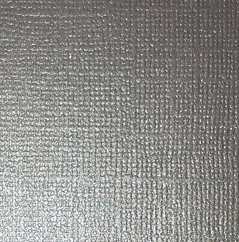 Cardstock Pearl Silver