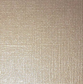 Cardstock Pearl Champagne