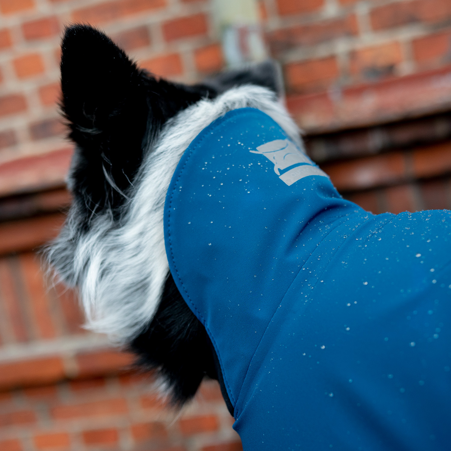 Outnout® Rain jacket for dogs (light weight) Blue