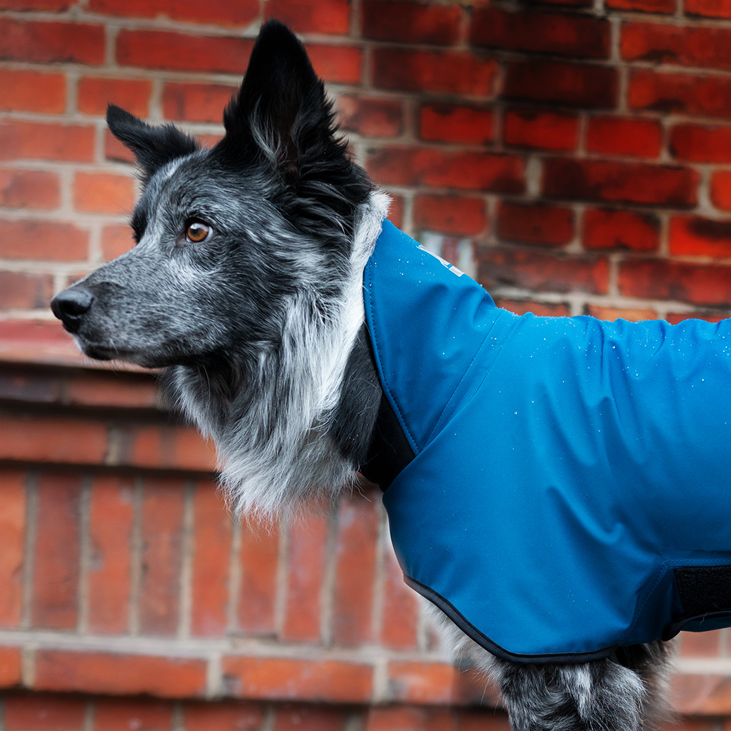 full rain suit for dogs