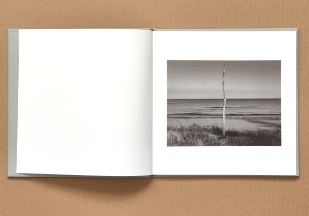 Kent O. Höglund - Sycomorstranden - 2