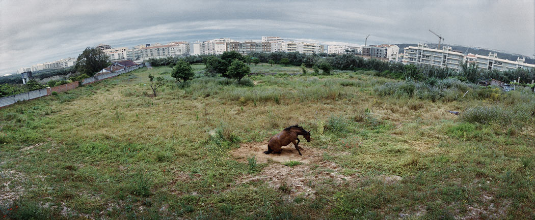Jens Olof Lasthein: Far  Near [signed] - 7