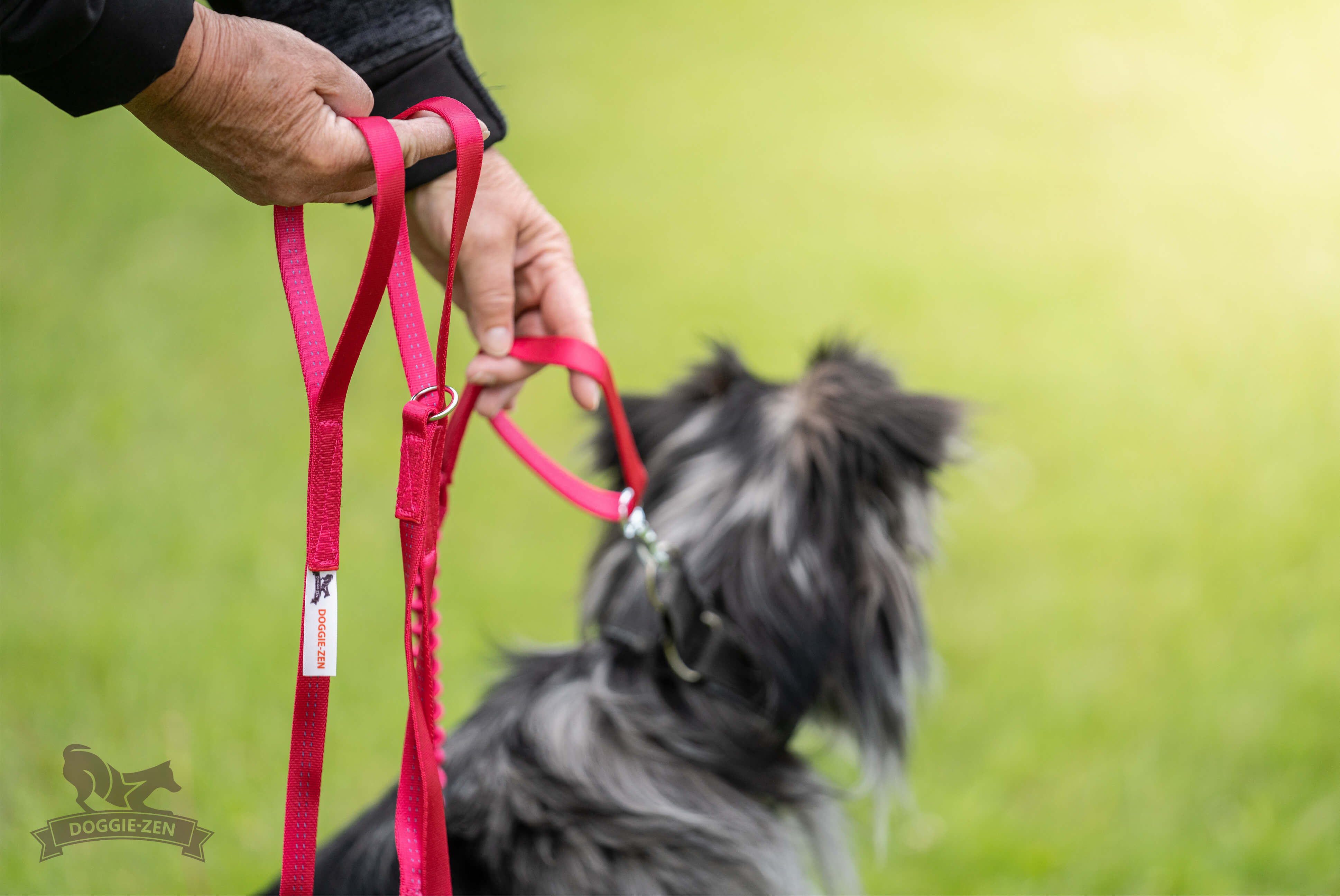 Extra long dog on sale leash