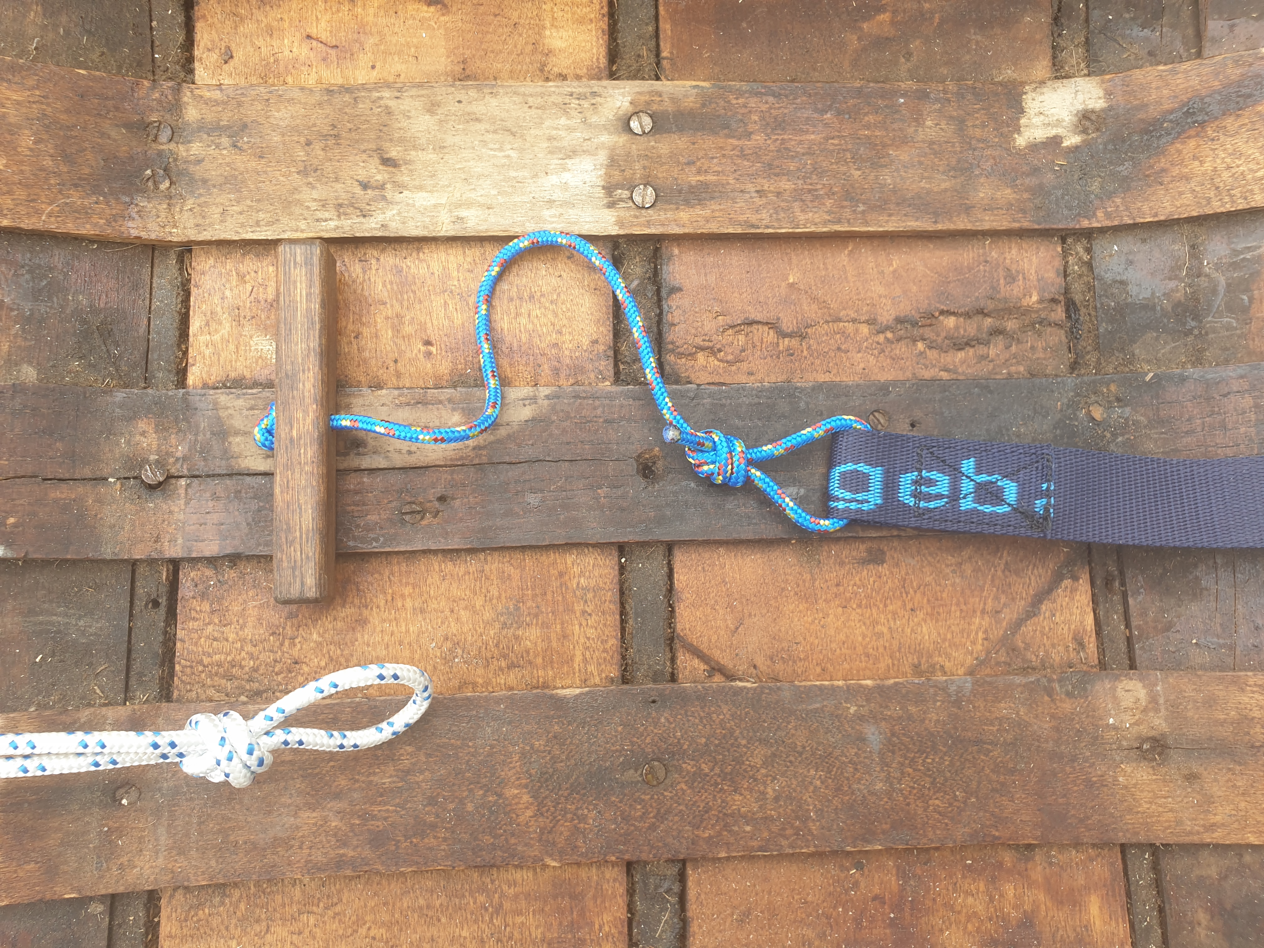 Hundpaket: Bältet Line, elastiskt koppel, hundsele i merinoull (halsband på köpet). - 8