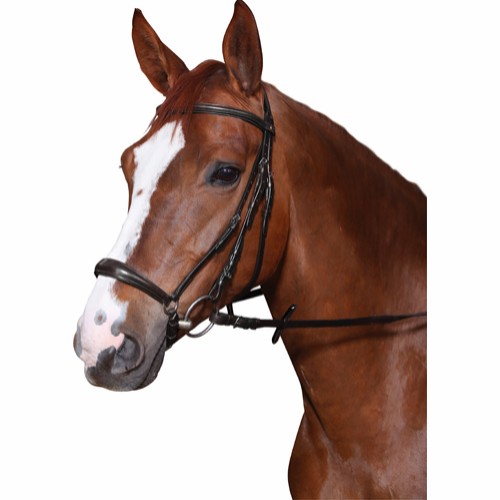 HG Trinse Hannoveransk PONY