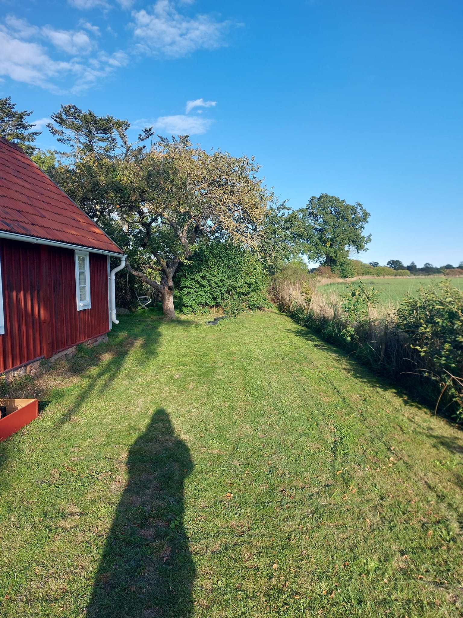Ölandstorpet, gäststugan - 24