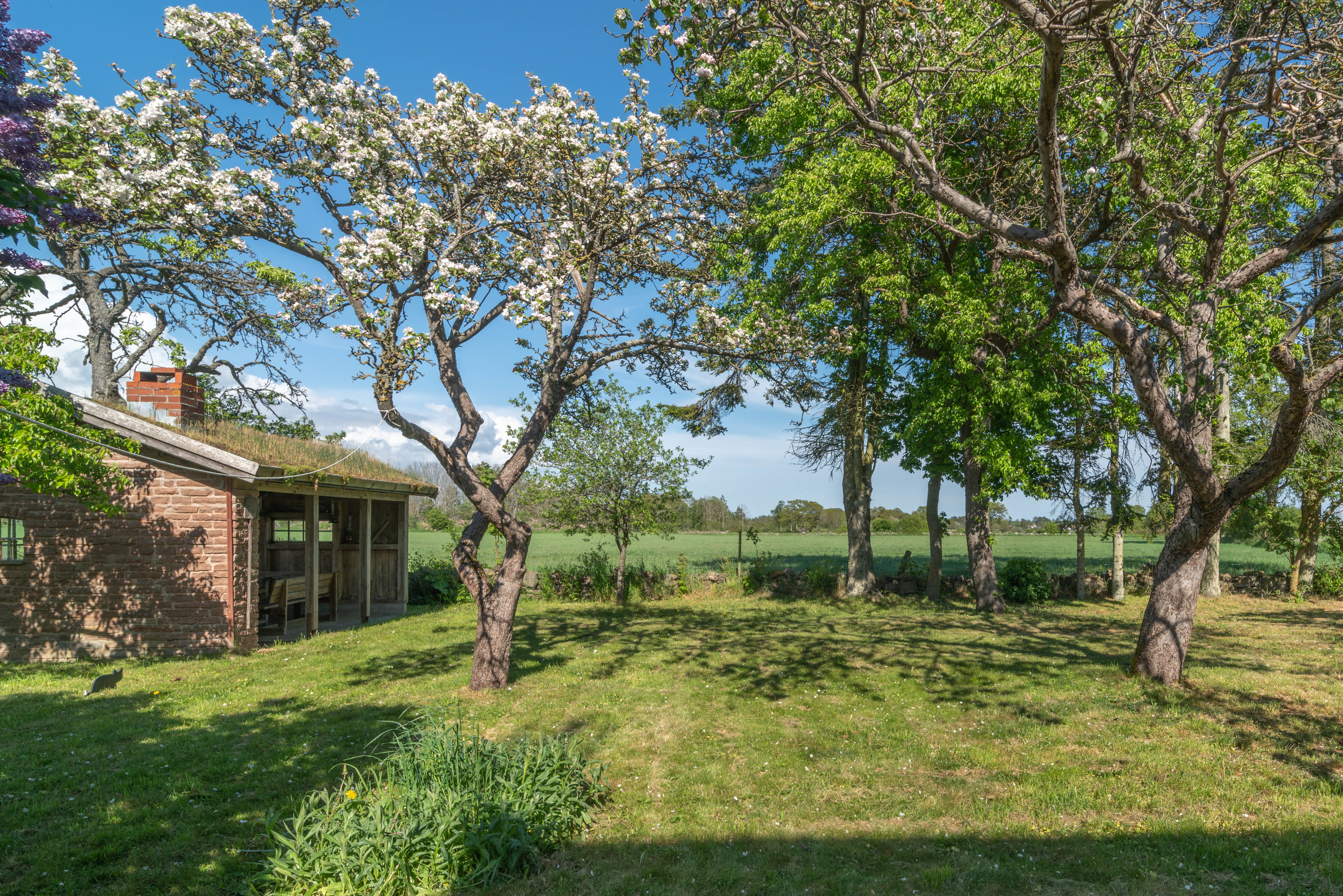 Ölandstorpet, uteköket och övriga miljö och detaljbilder - 4