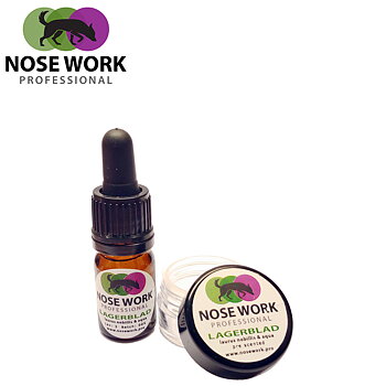 NoseWork Professional Pre Scented Kit with Magnet - Bay leaf