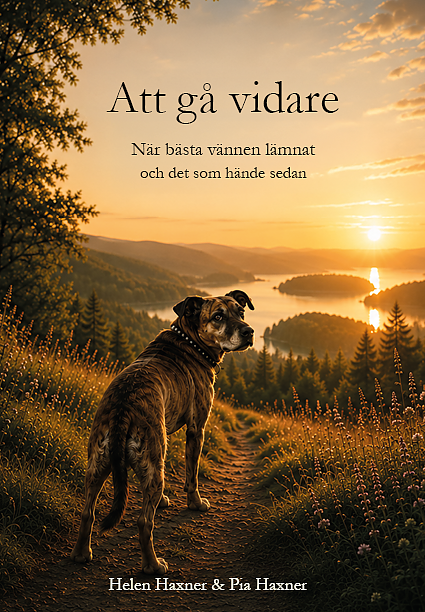 Att gå vidare när bästa vännen lämnat - och det som hände sedan