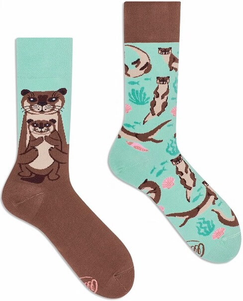 Many Mornings Otter Stories