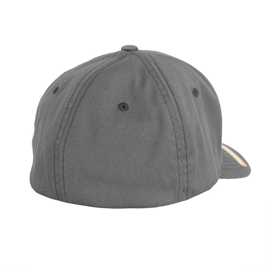 Bearplay Cap Charcoal - 3