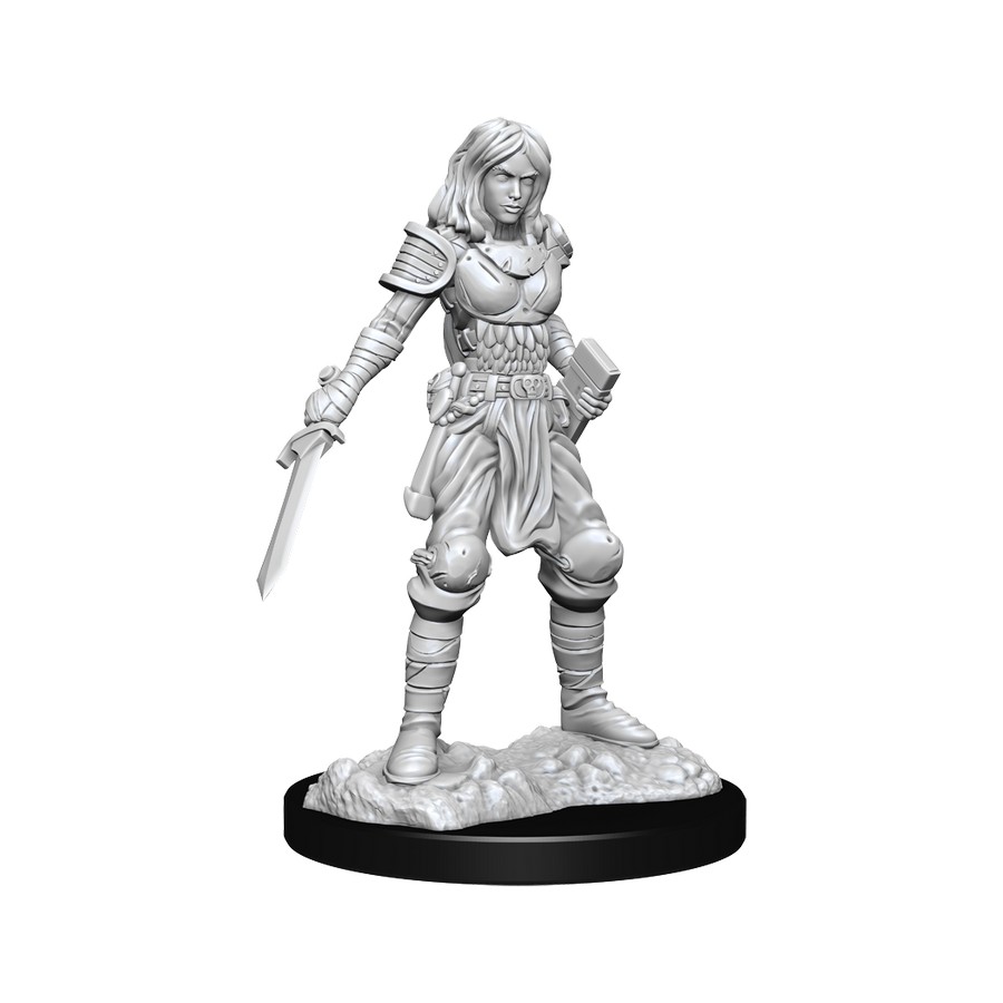 Pathfinder WZK72607 Human Female Paladin Deep Cuts Miniatures Warrior Knight NIB 