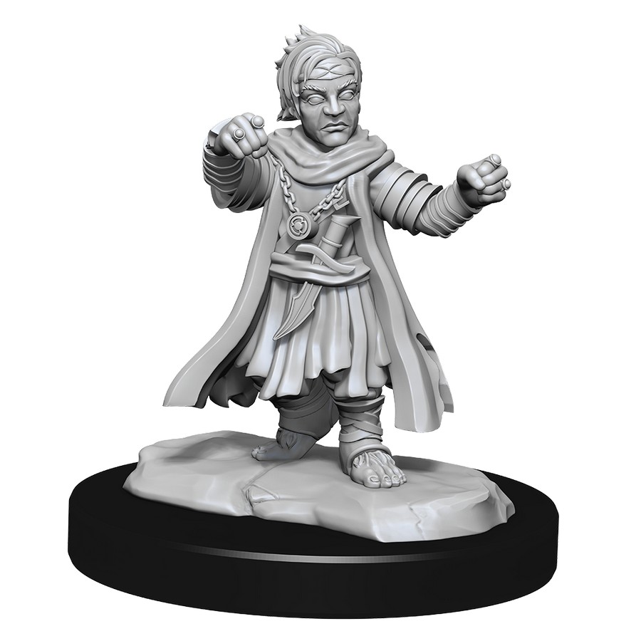 Pathfinder Deep Cuts: Halfing Monk Male - 2