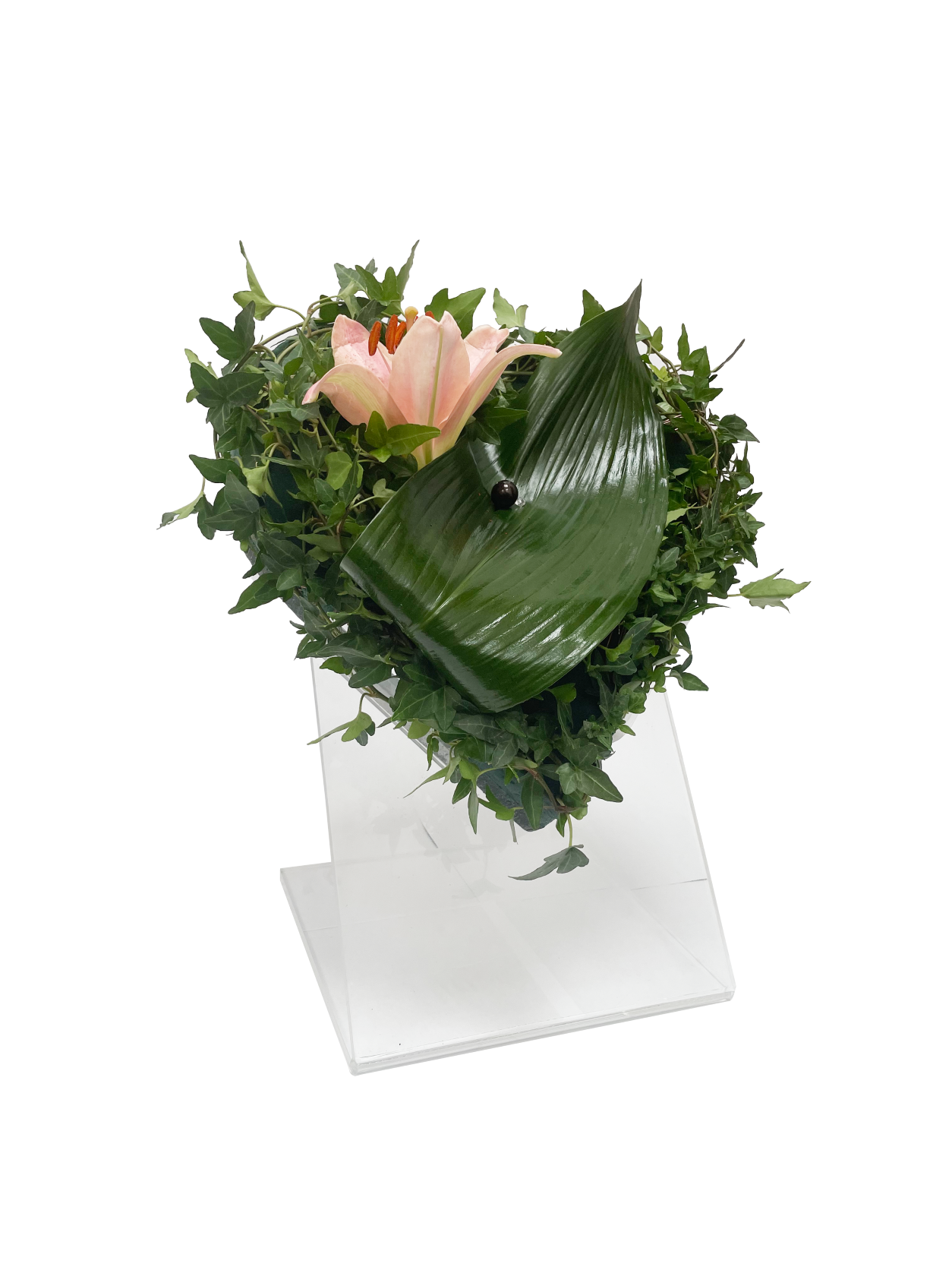 Hjärtställ Plexi - 2