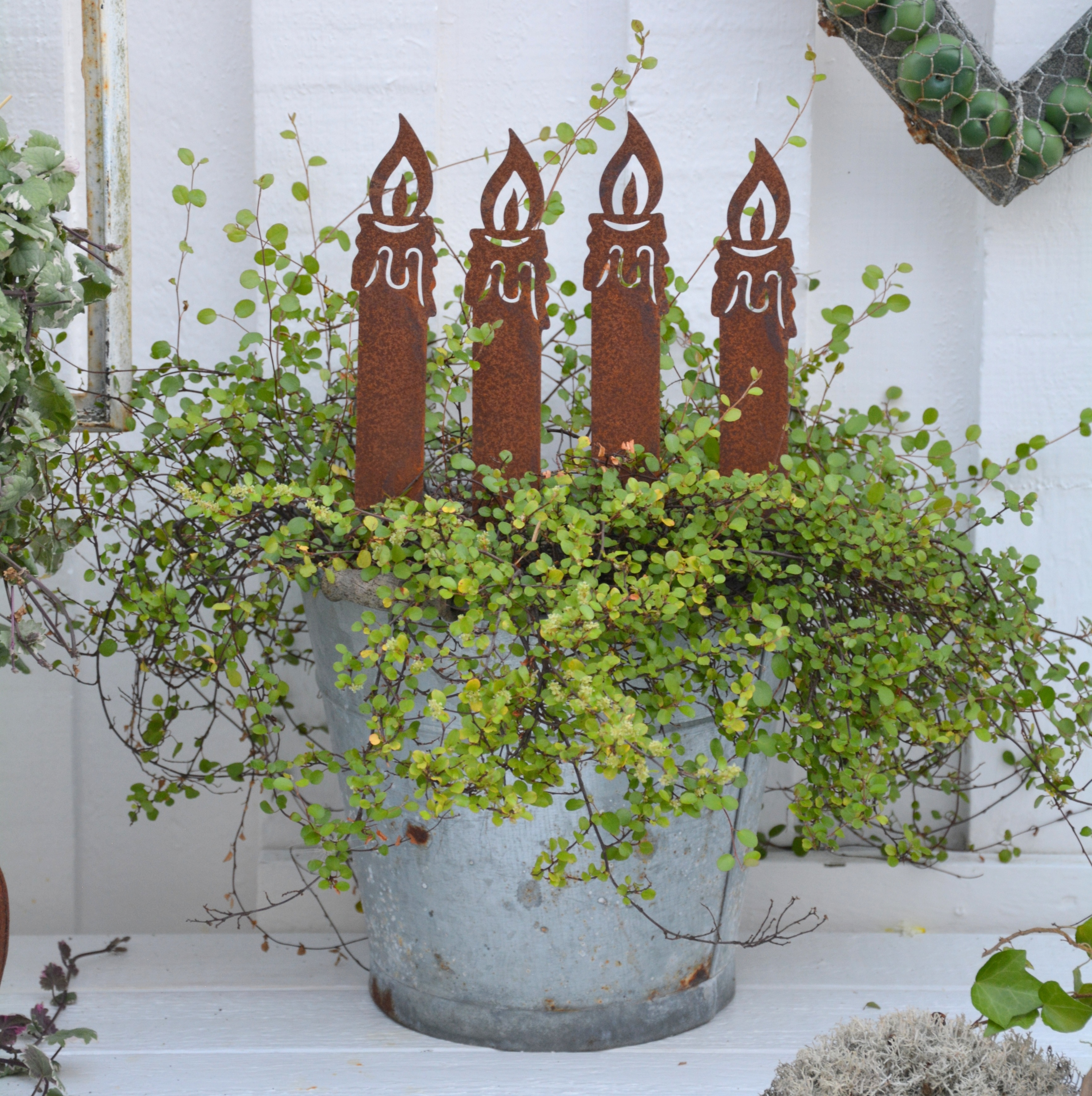 Rostigt ljus mellan 20 / 32 cm. Sticks. Ljus i rost - 6
