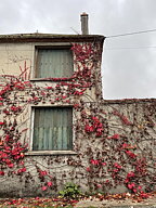 "Törnrosas hus"/  tavla akryl orginal