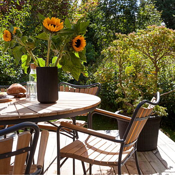 Stol Ellen teak / anthracite metall Cinas