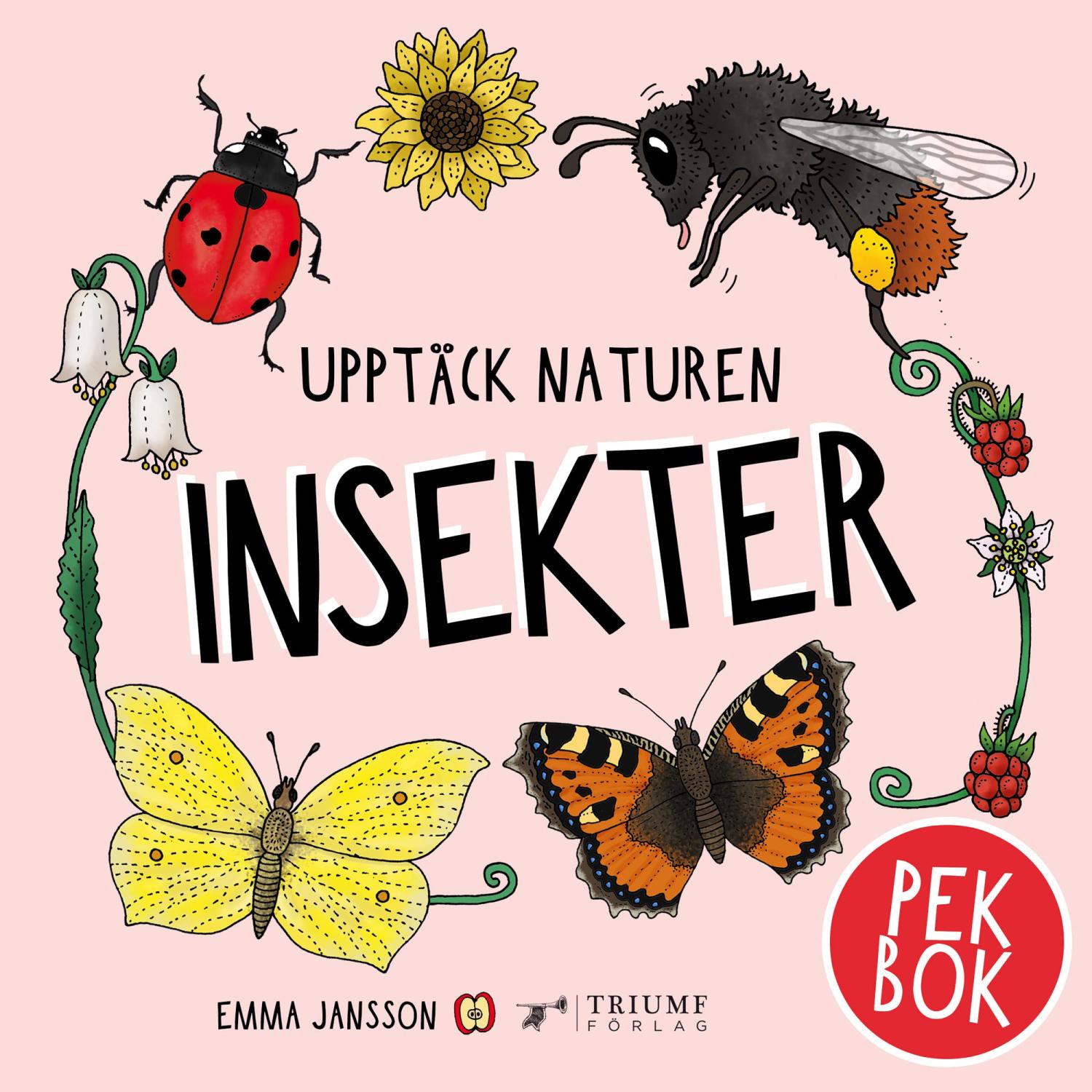 Upptäck naturen Insekter - Babynord