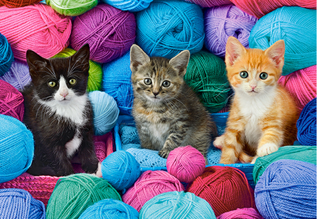 Kittens in Yarn Store 300 Bitar Castorland