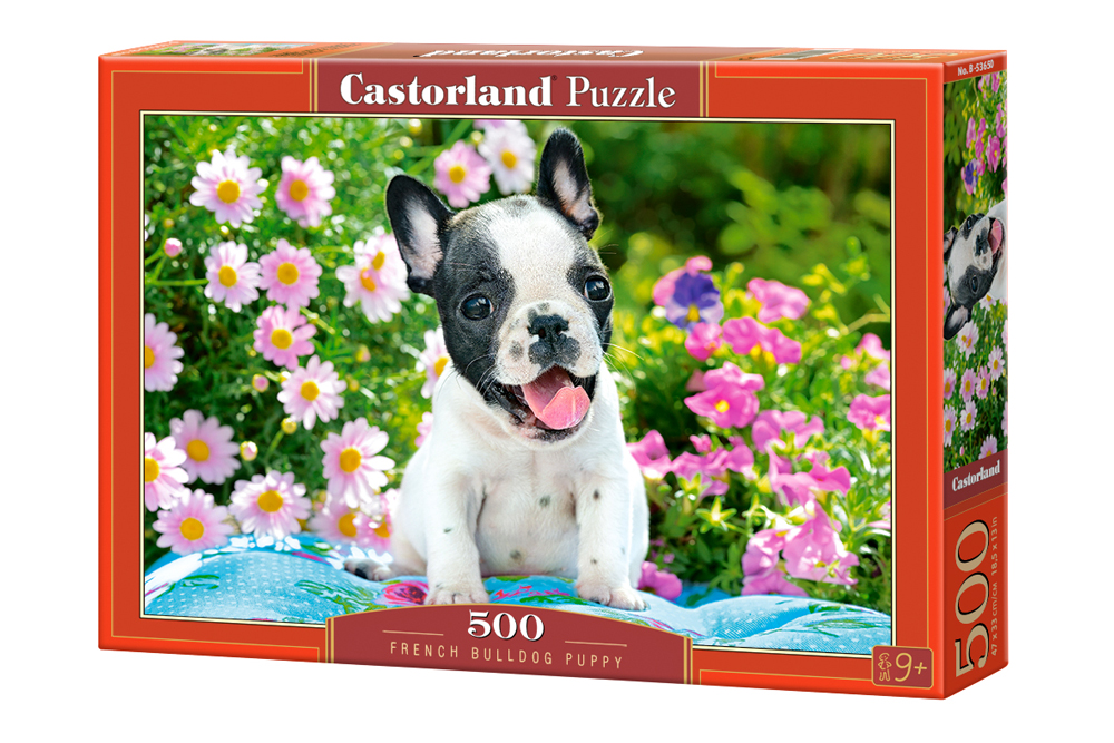 French Bulldog Puppies 500 Bitar Castorland  - 2