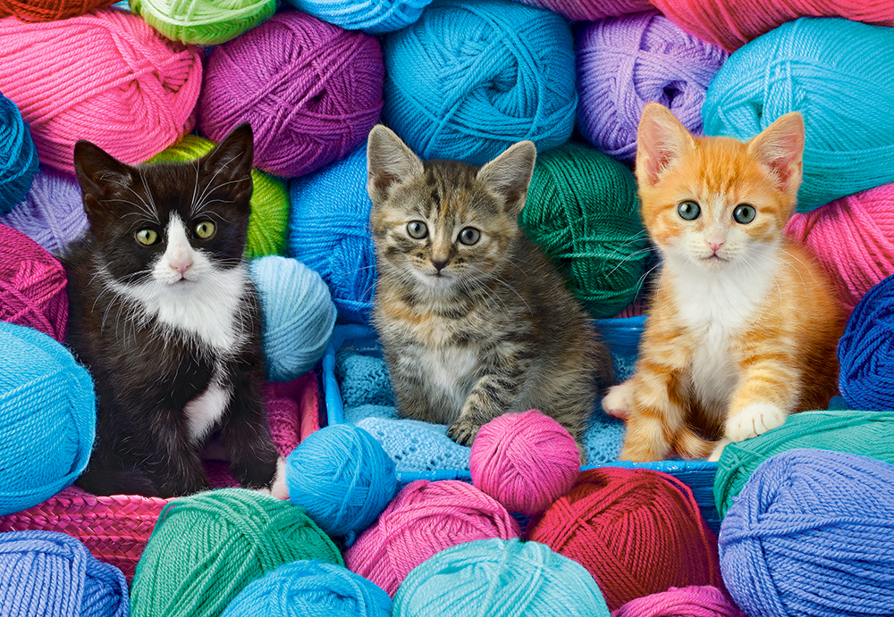 Kittens In  Yarn Store 1000 Bitar Castorland
