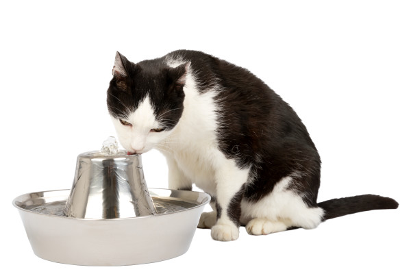 Petsafe Seaside water fountain - 1,8 Liter - 6
