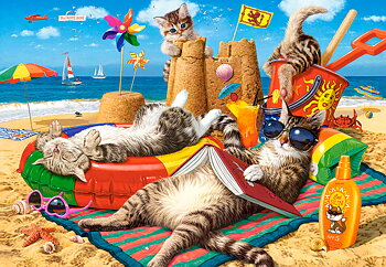 Summer Vibes 1000 Bitar Castorland