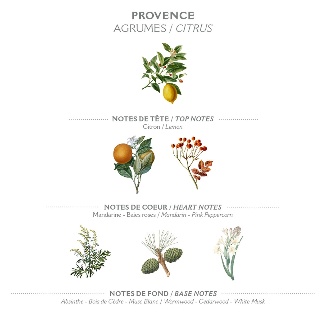 Panier des Sens Provence Lemon & Cypress Body Lotion (250 ml) - 3