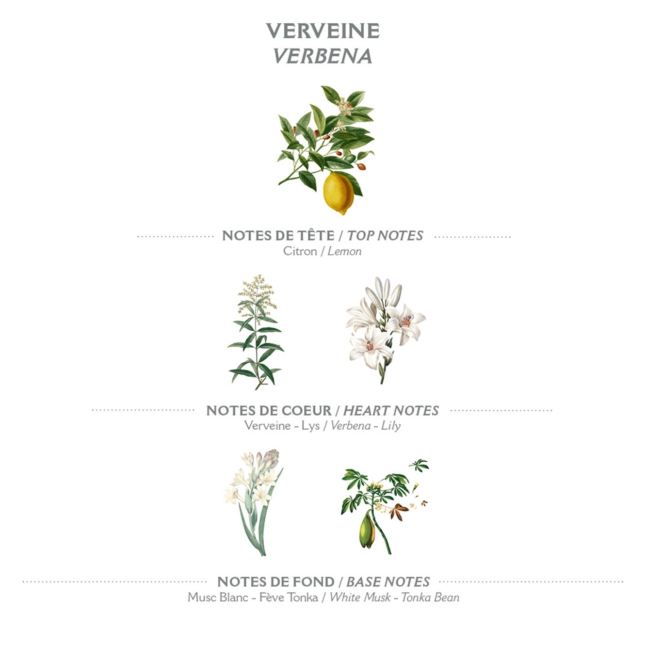 Panier des Sens Verbena Body Lotion (250 ml) - 4