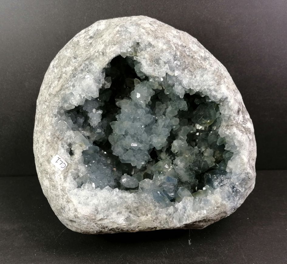 Celestin Grotta  - AA+ kvalitet   - CL1
