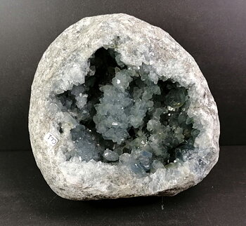 Celestin Grotta  - AA+ kvalitet   - CL1