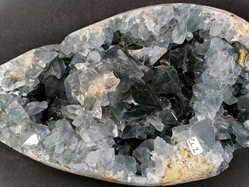 Celestin Grotta  - AA+ kvalitet   - CL2