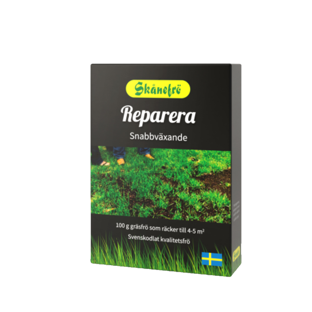 Ruohon siemenet Korjaus 100G - 2