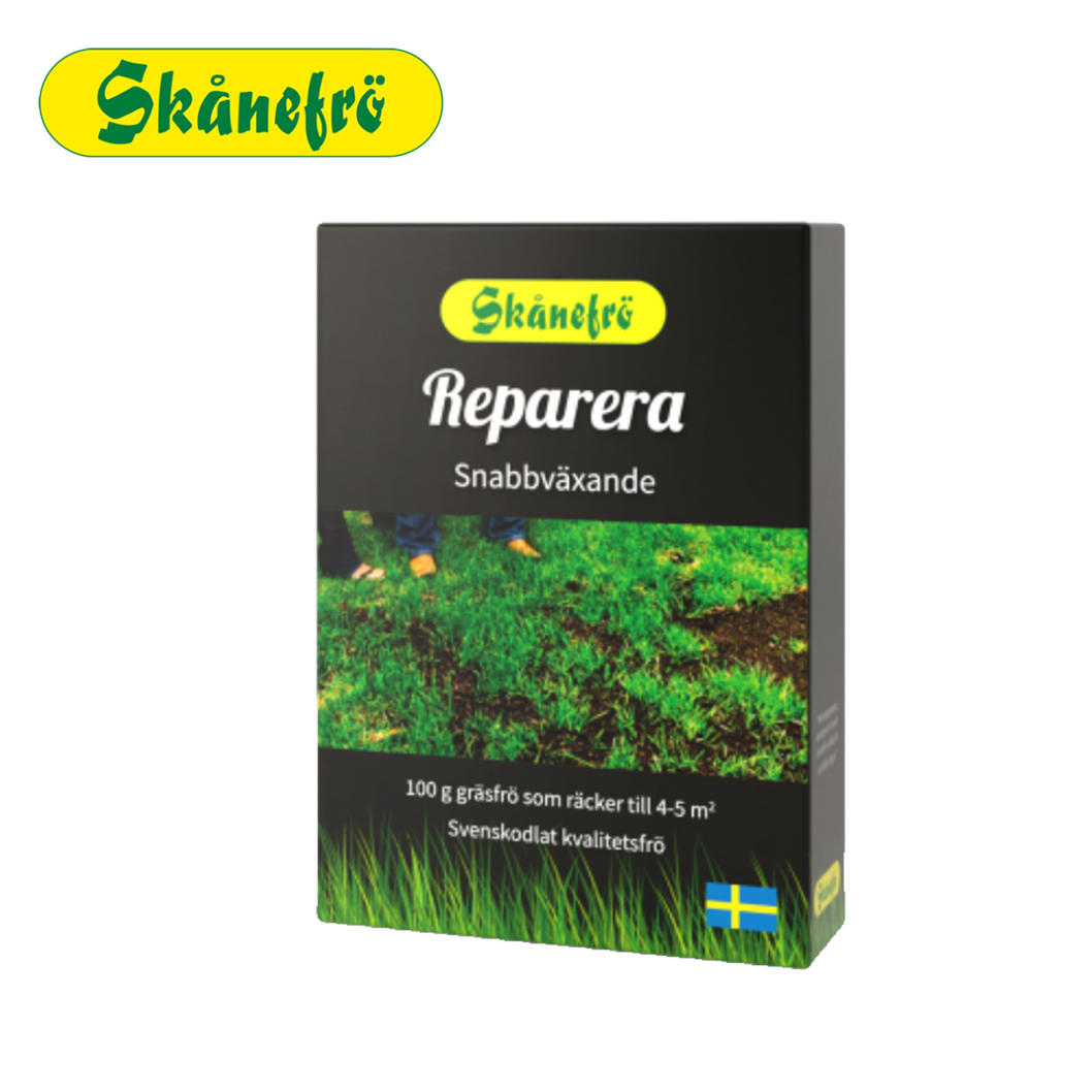 Ruohon siemenet Korjaus 100G