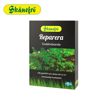 Ruohon siemenet Korjaus 100G