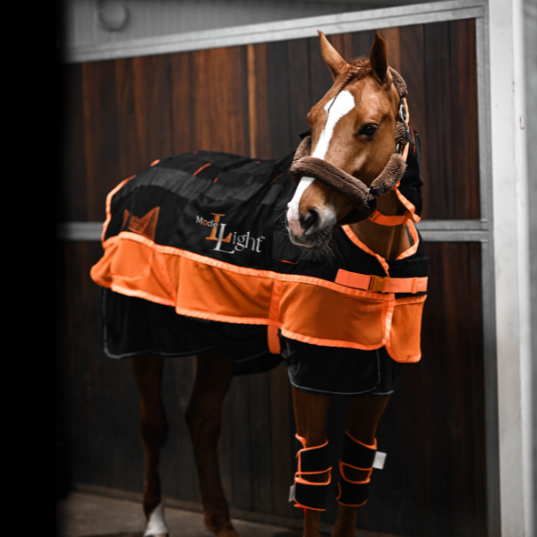 ModelLight  Multi Treatment Blanket