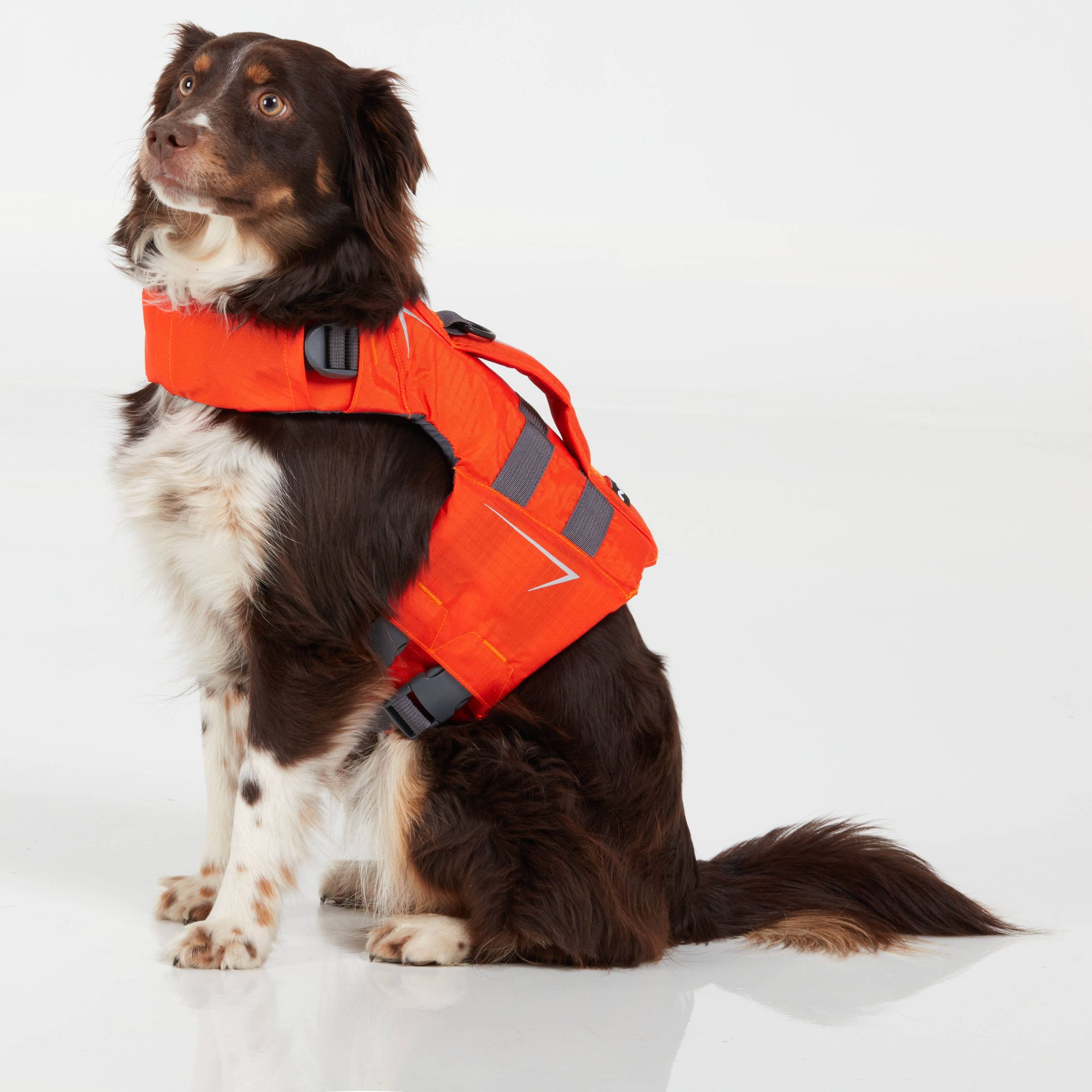 NRS CFD Flytväst till hund - 4