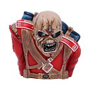 Storage box: Iron Maiden - The Trooper Bust Box (Small)