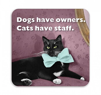 Photocaptions : Cats have staff - glasunderlägg i melamin