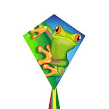 Eddy Ecoloine Froggy