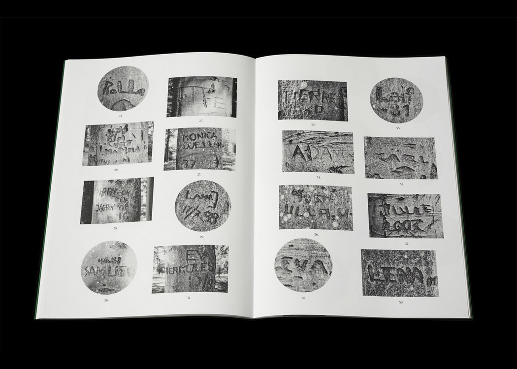 Per Englund: Swedish Arborglyphs - 7