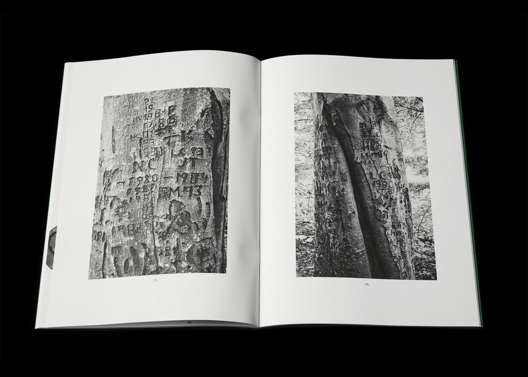 Per Englund: Swedish Arborglyphs - 8