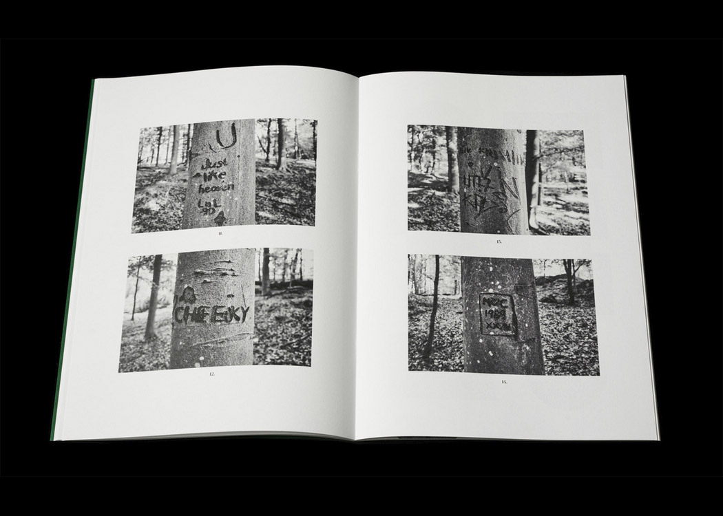 Per Englund: Swedish Arborglyphs - 6