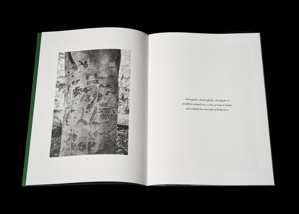 Per Englund: Swedish Arborglyphs - 3