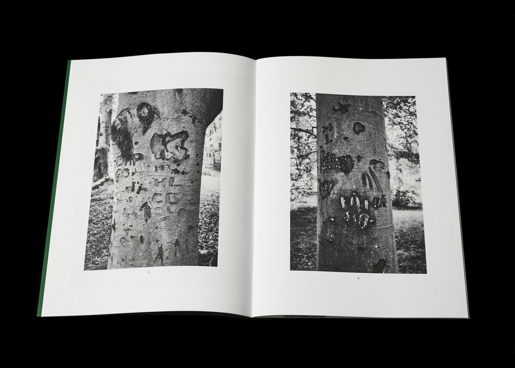 Per Englund: Swedish Arborglyphs - 5
